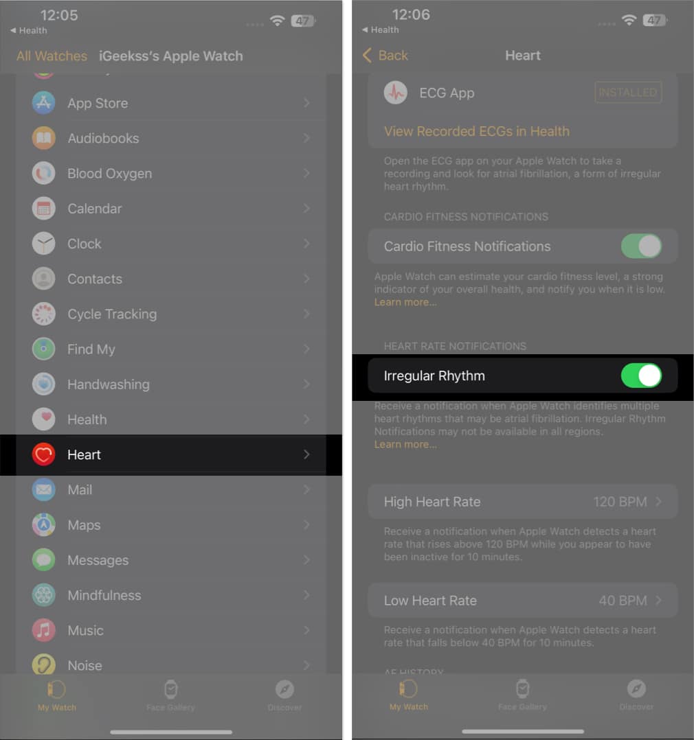 Turn on irregular rhythm in the Watch app on iPhone