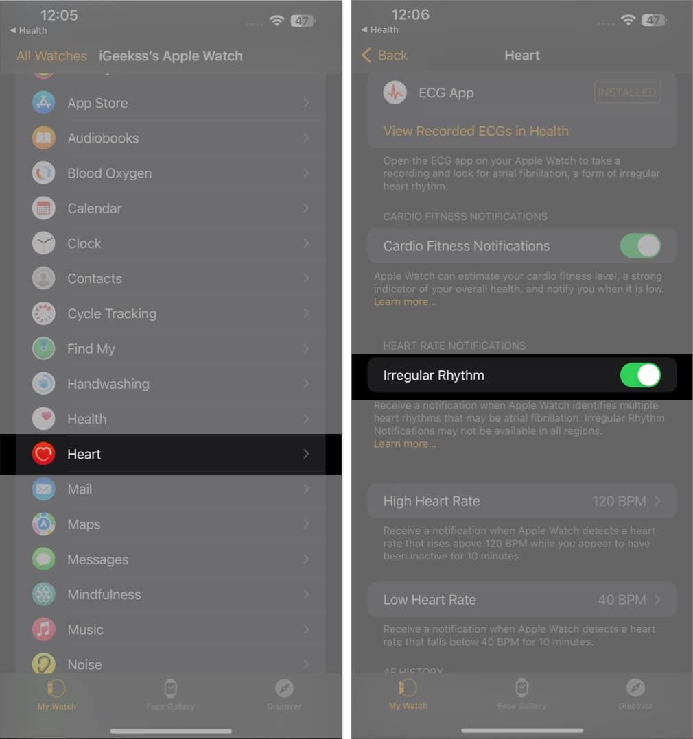 Turn On irregular rhythm in Watch app on iPhone