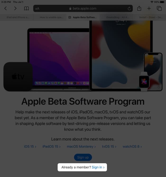Open Safari on your iPad and visit beta.apple.com