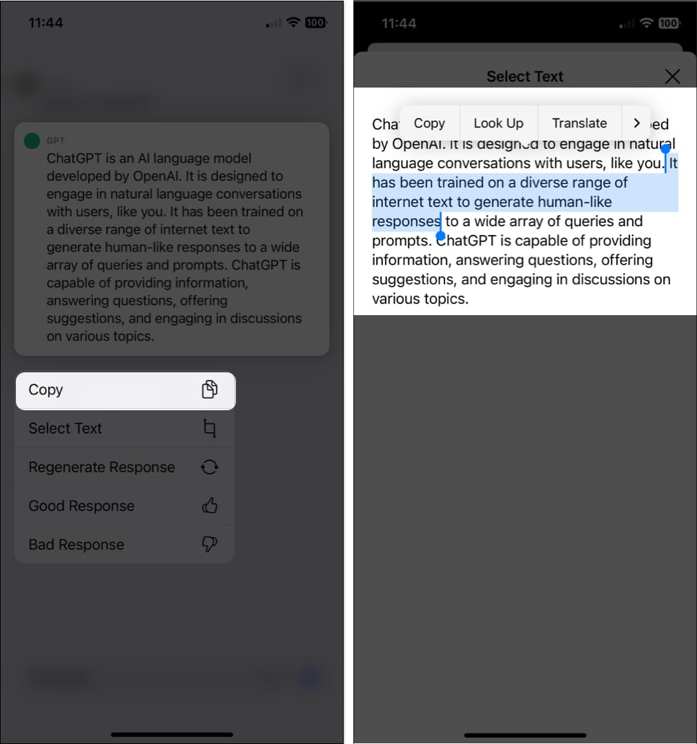 Salin respons atau teks yang dipilih dalam apl iOS ChatGPT