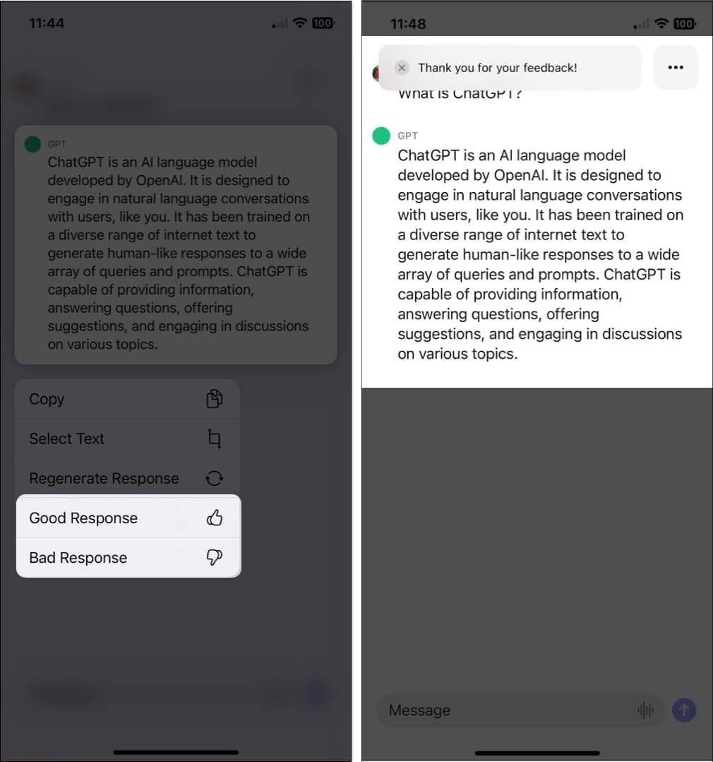 Provide feedback in ChatGPT iOS app