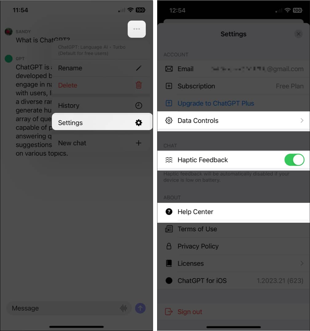 View the ChatGPT app settings