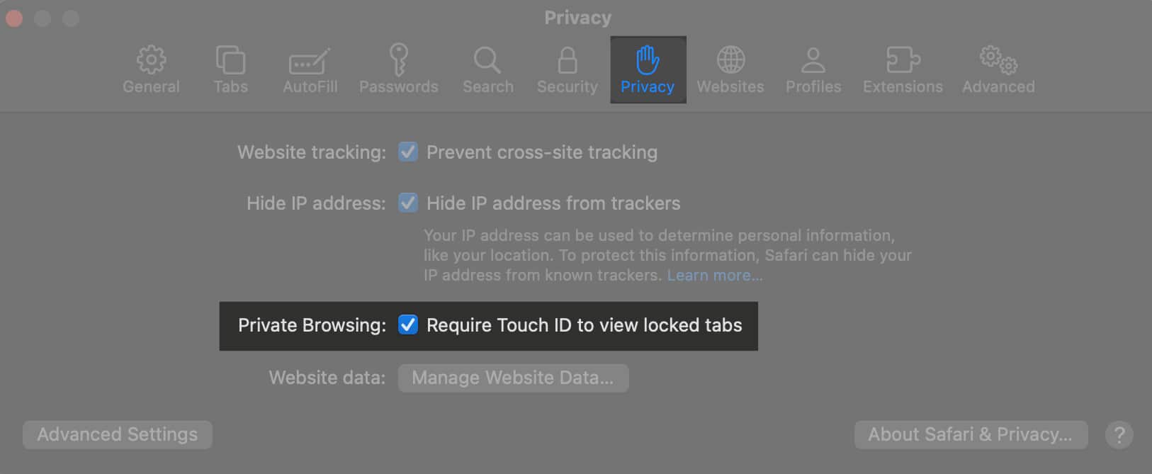 Go to Privacy, enable Require Touch ID to view locked tabs