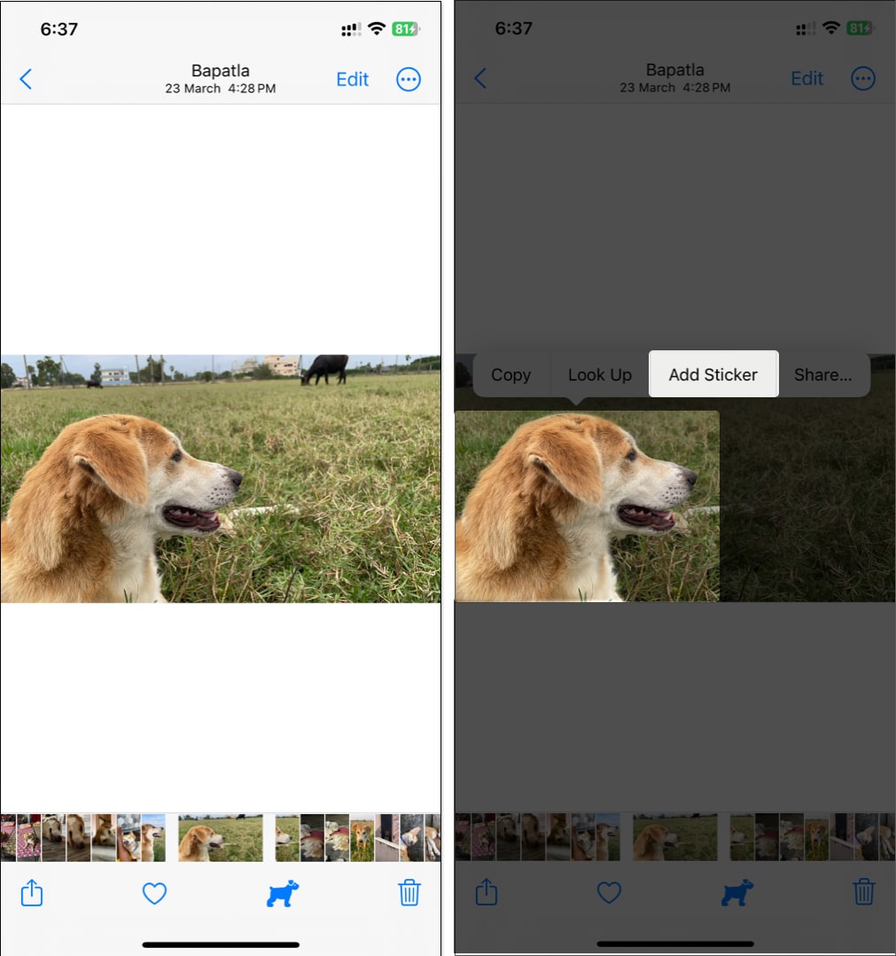 Create stickers from Photos App
