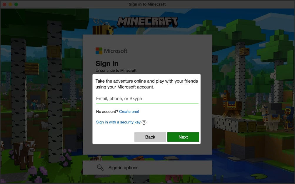 Enter the email address you used to buy Minecraft license