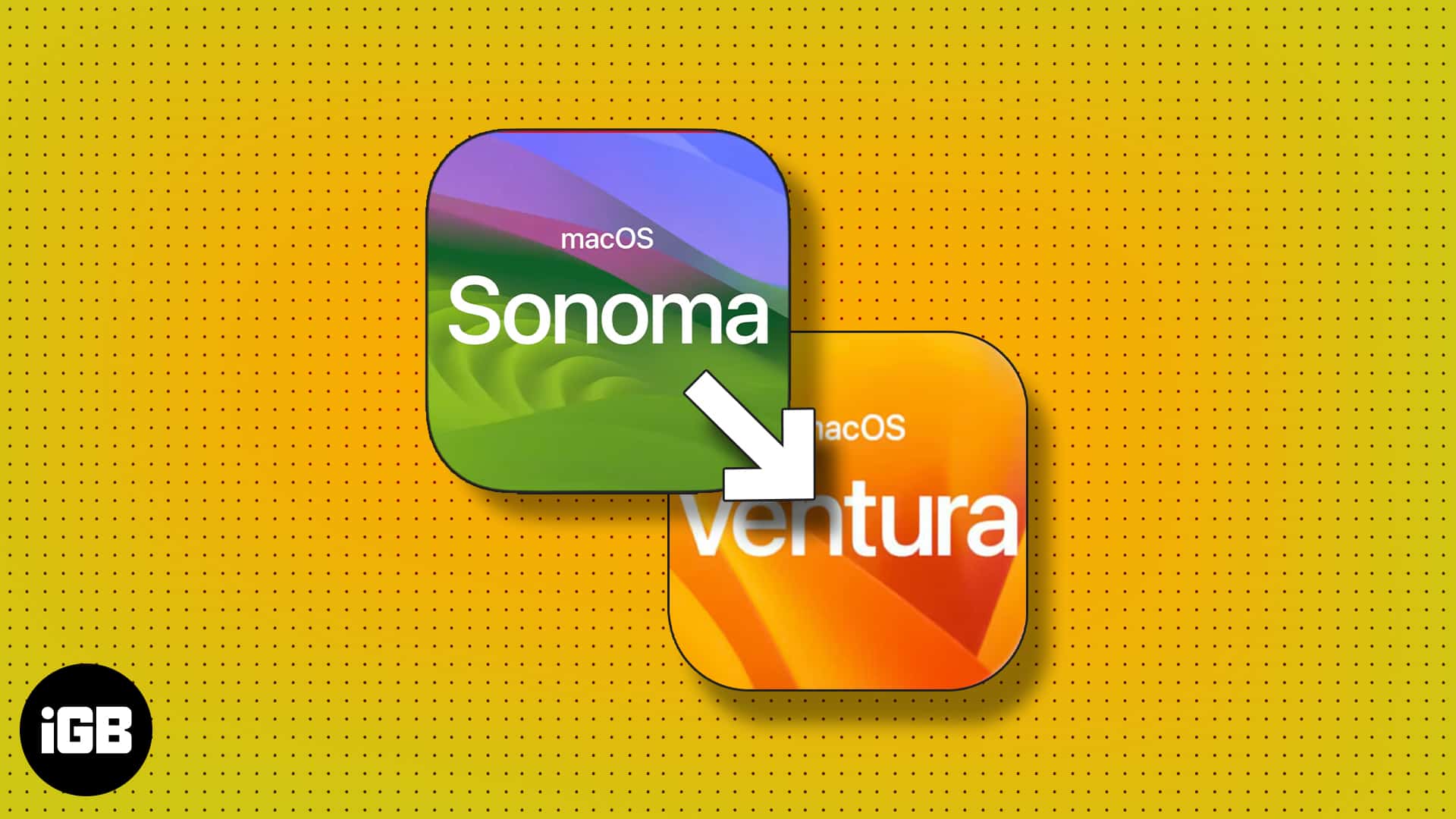 How to downgrade to macos ventura without losing data