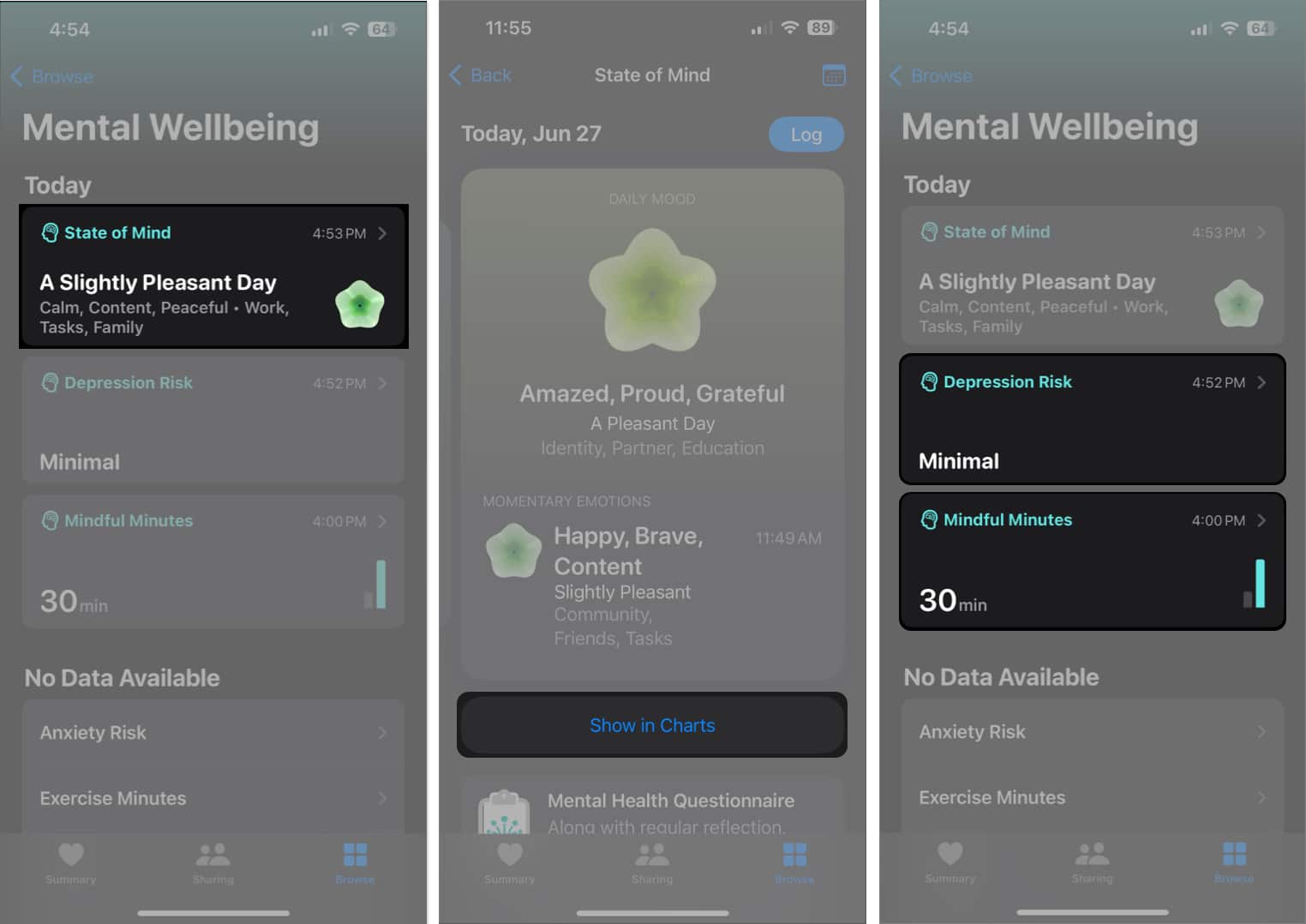 View Mental Wellbeing on iPhone