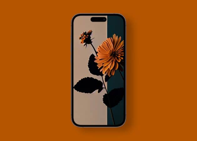 Flower wallpaper for iPhone