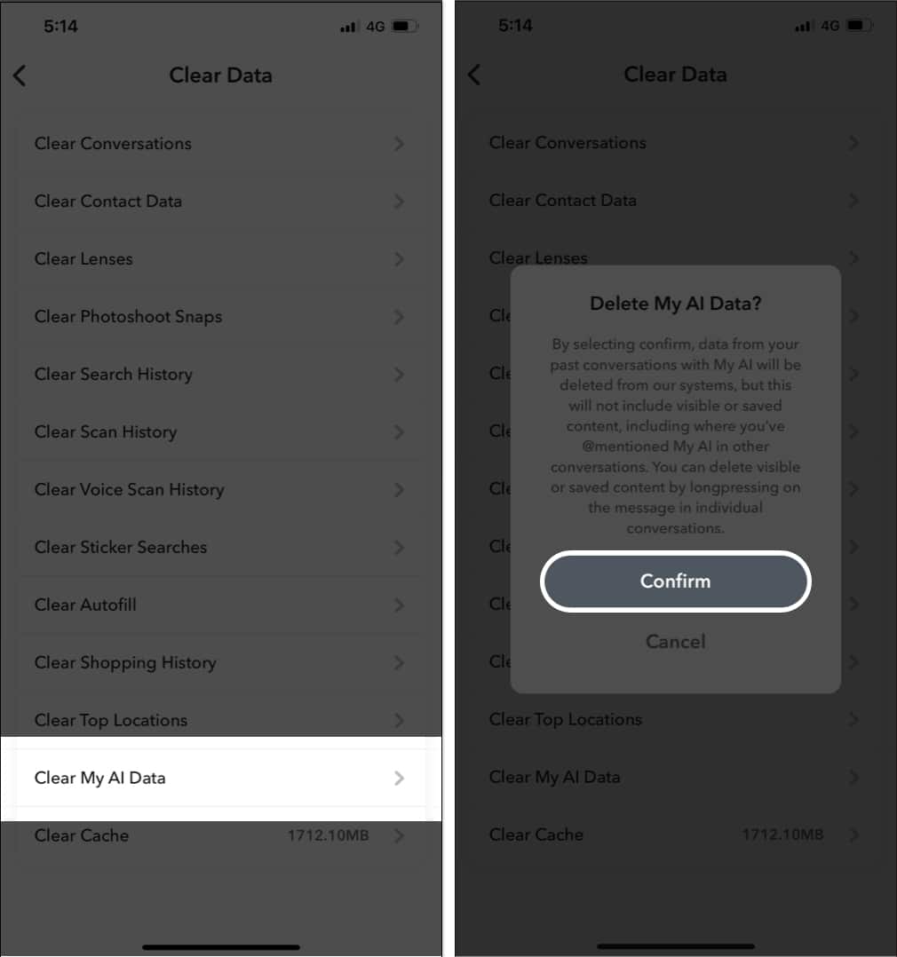 Select Clear My AI Data from the list and tap Confirm