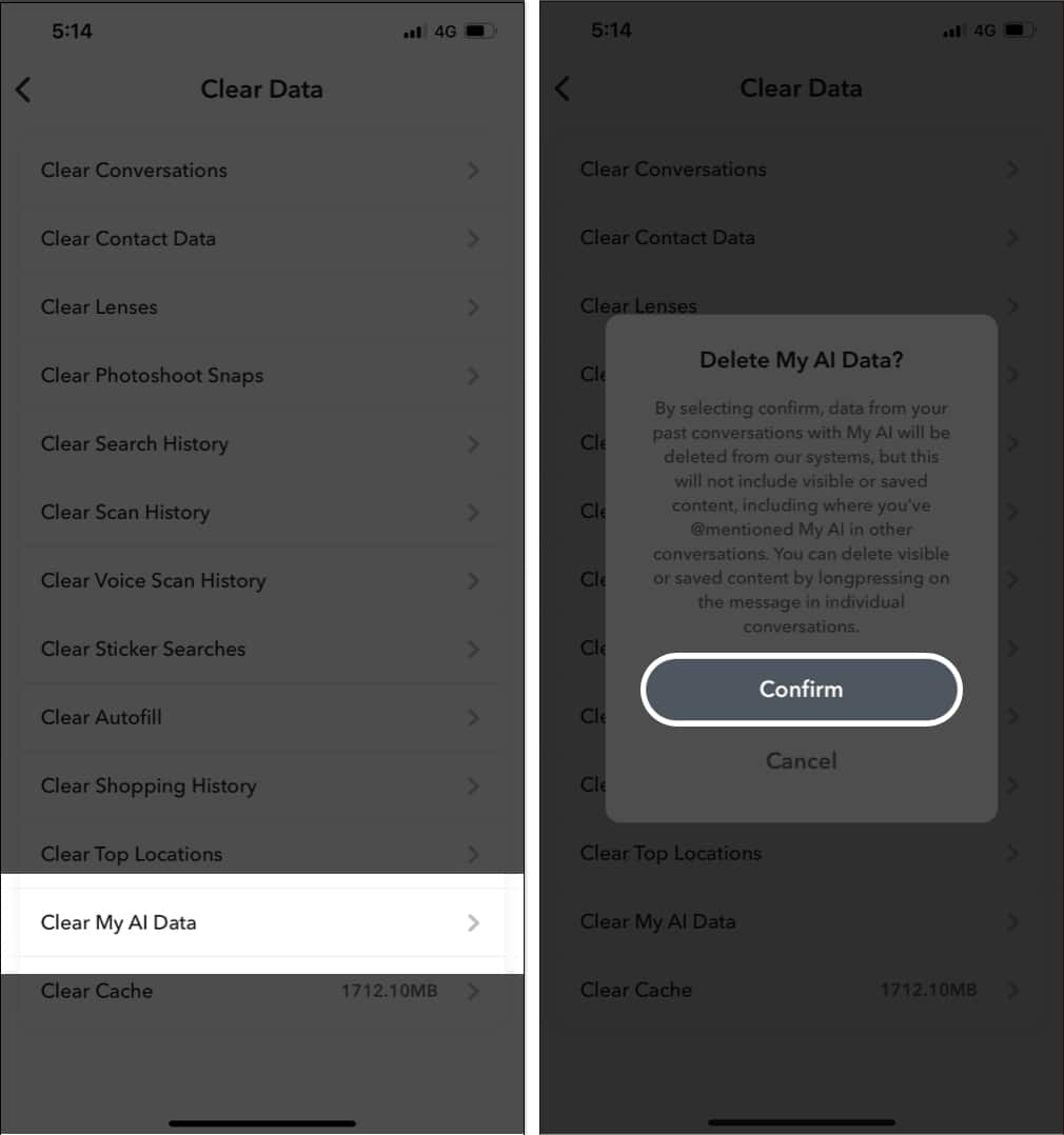 Select Clear My AI Data from the list and tap Confirm