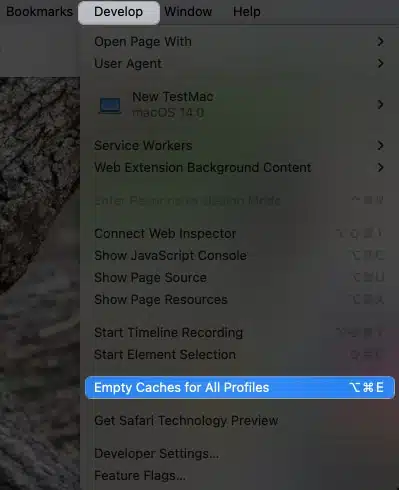 Safari keeps crashing on Mac 11 Ways to fix it Click Develop Empty Caches for All Profiles in Safari