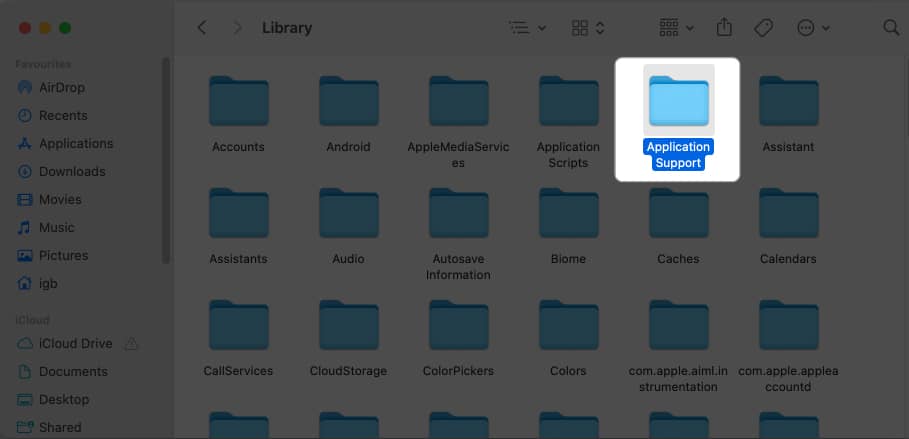 Open the Application Support folder