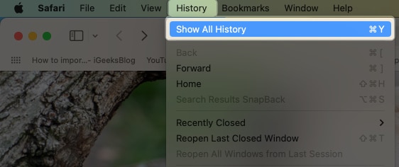 Tap on History, select Show All History