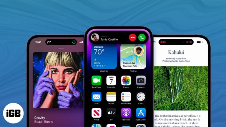 Apps that support dynamic island in iphone 14 pro