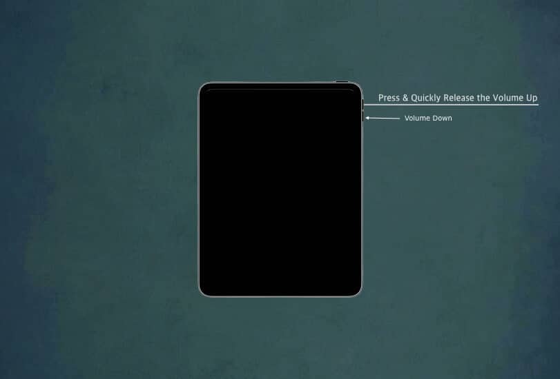 Press-Quickly-Release-Volume-buttons-on-iPad