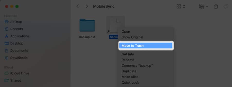 Right-click on the file and select Move to Trash