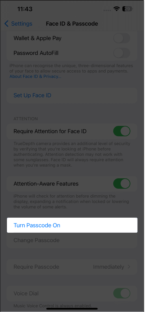 Select Turn Passcode On option in settings
