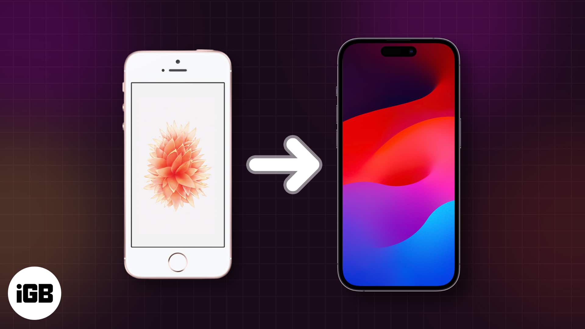 Transfer your data from old iphone to new iphone