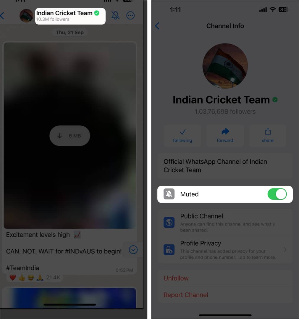 tap-channel-name-toggle-on-muted-in-WhatsApp-iPhone