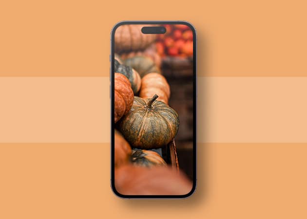Autumn Pumpkin wallpaper for iPhone