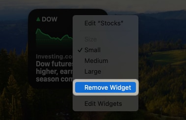 Click Remove Widget