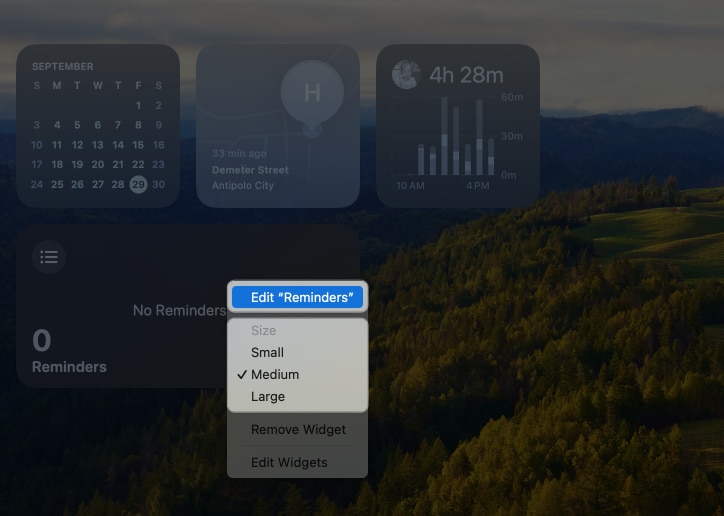 Customize desktop widgets on Mac