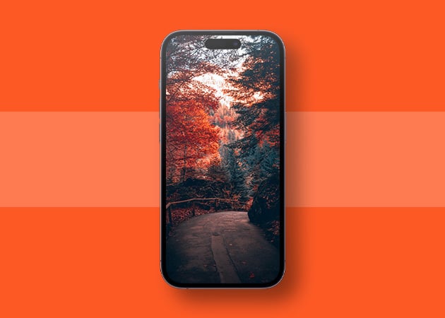 Ethereal Autumn landscape wallpaper for iPhone