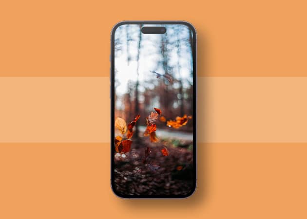 Best fall wallpapers for iPhone in 2023 - iGeeksBlog