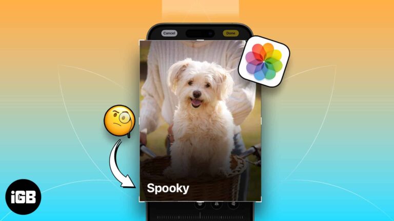 How to tag pets in photos app on iphone ipad and mac