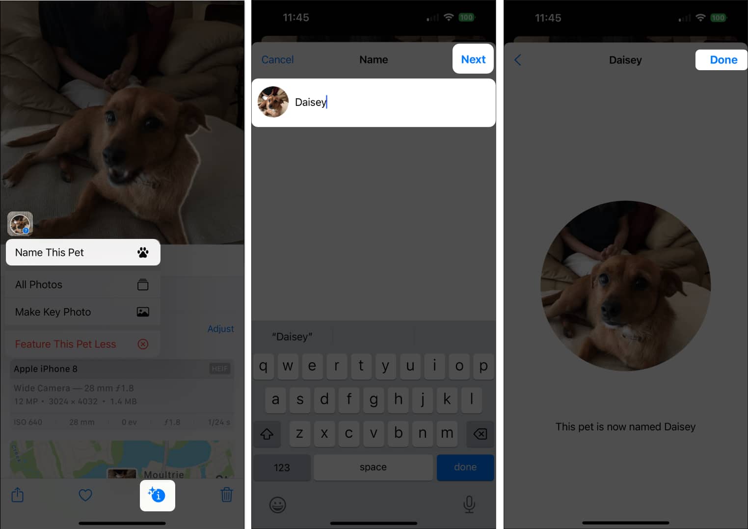 Name your pets in Photos app on iPhone