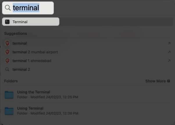 SpotLight Terminal