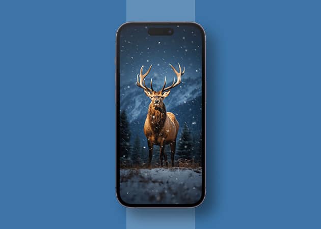Best Christmas wallpapers for iPhone in 2024 Free download Beautiful Reindeer Christmas wallpaper