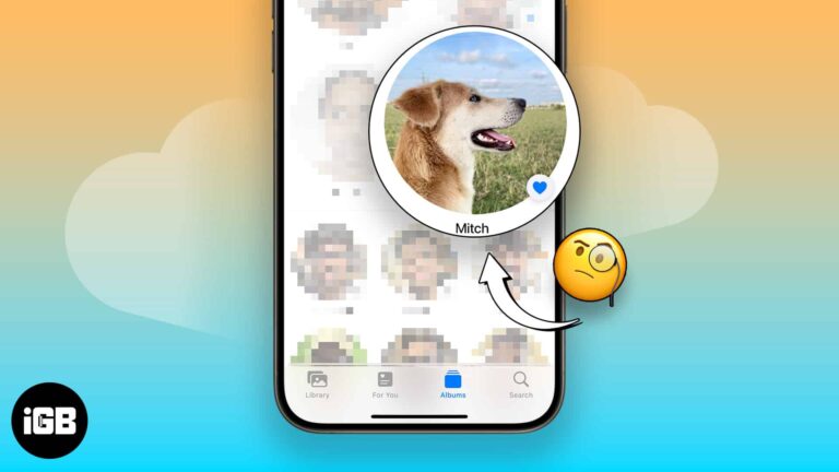 Pet recognition feature not working on iPhone? How to fix it!