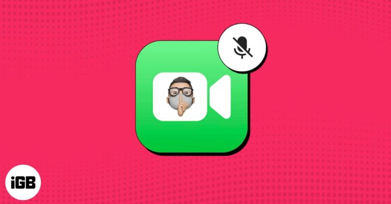 Mute someone on FaceTime