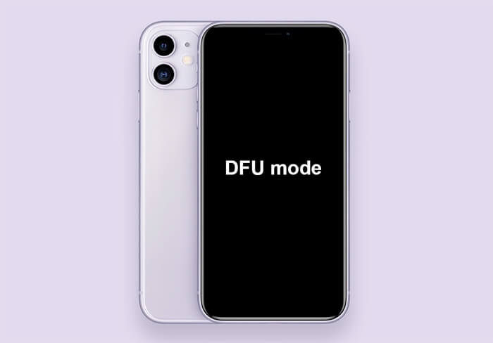 Put the iPhone into DFU