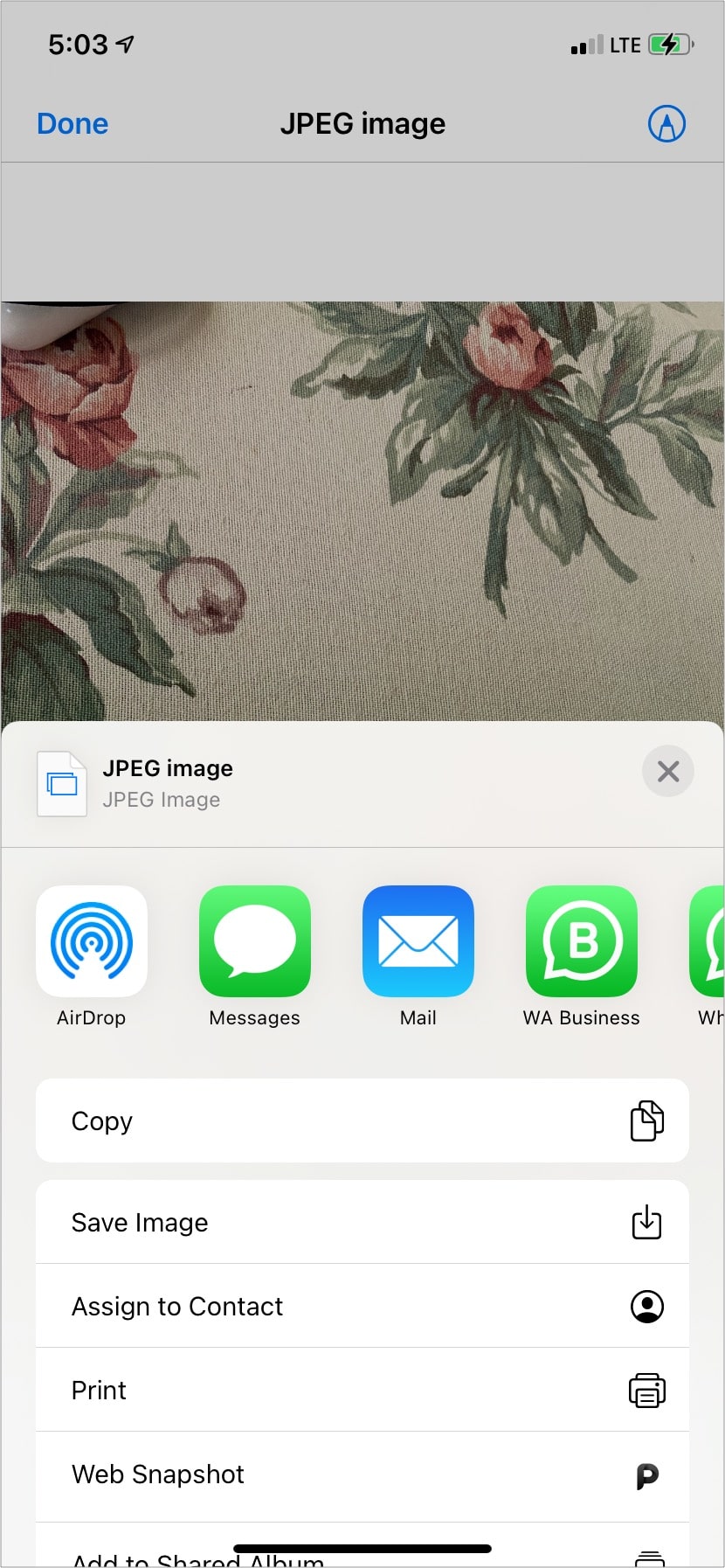 Save JPEG from Files app to Photos App