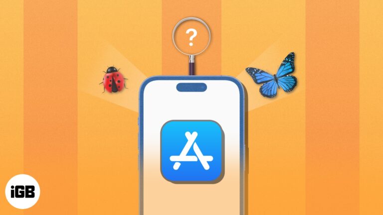 Best bug and insect identifier apps for iPhone in 2024