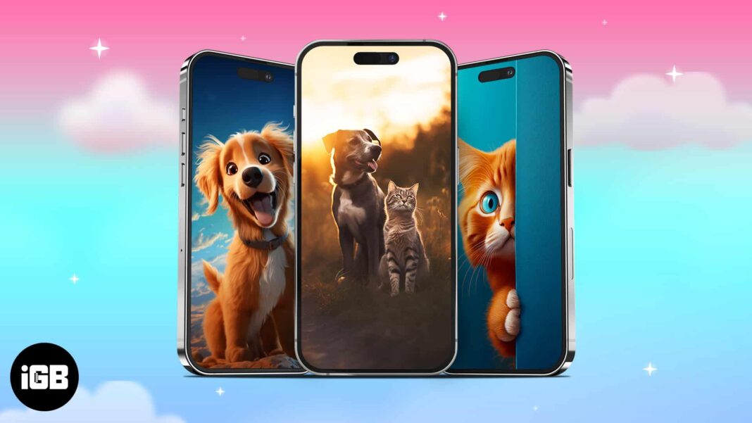Cute cat and dog wallpapers for iPhone in 2024 - 97