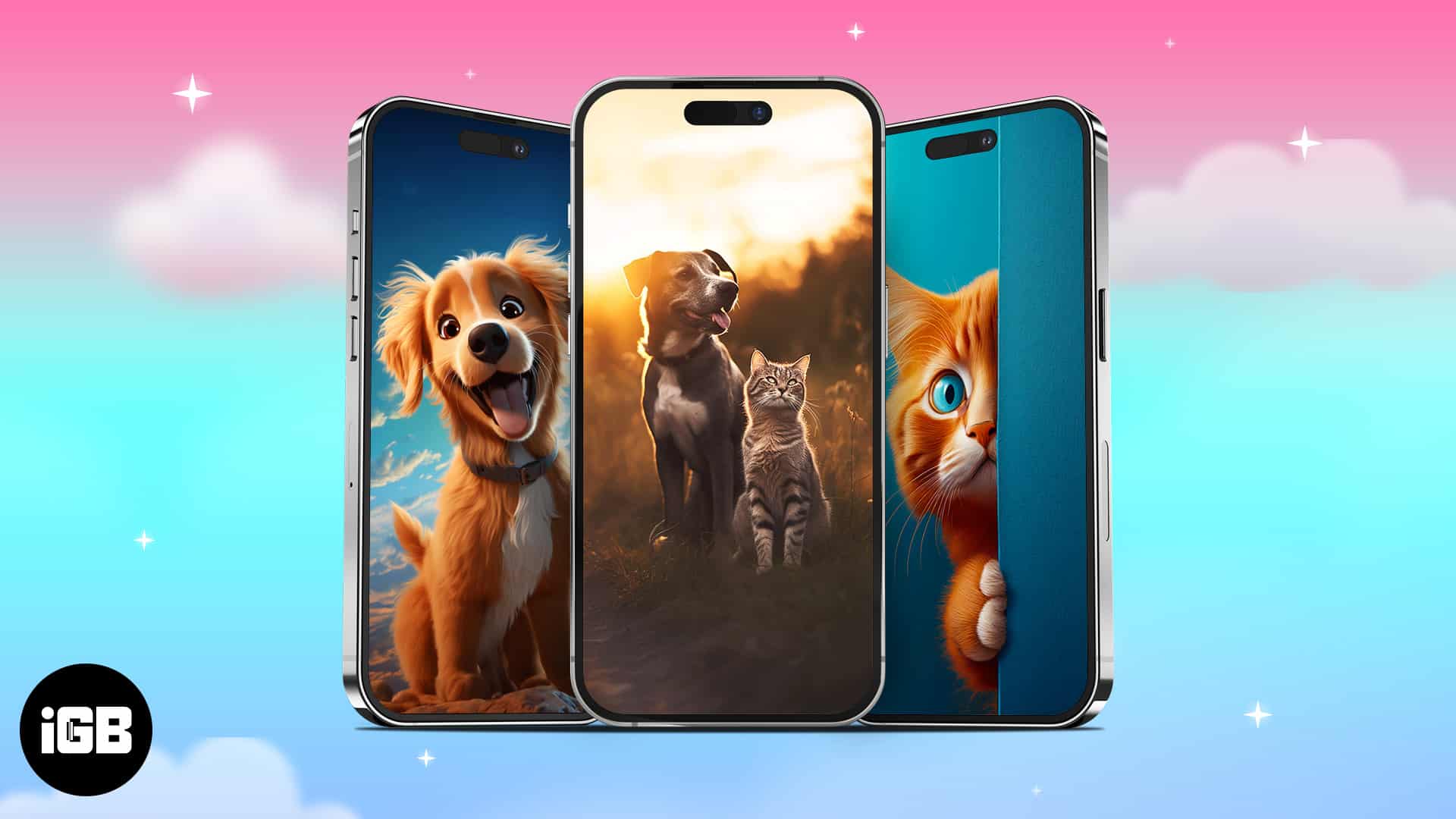 Cat dog wallpapers for iphone