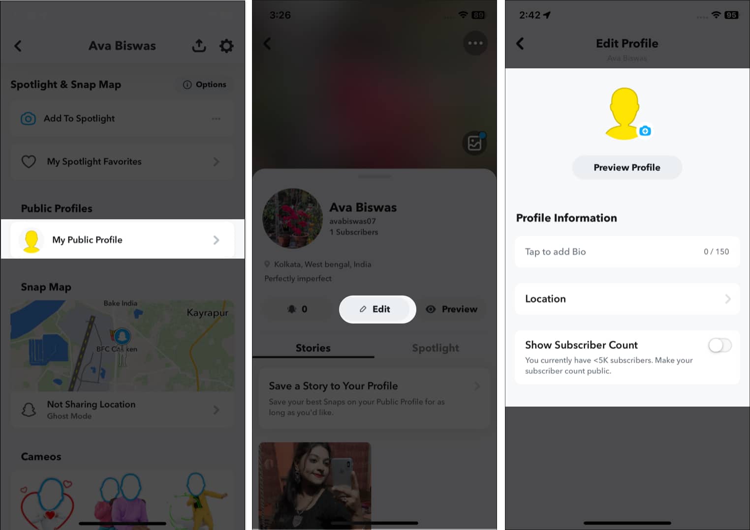 Edit a Snapchat Public Profile on iPhone