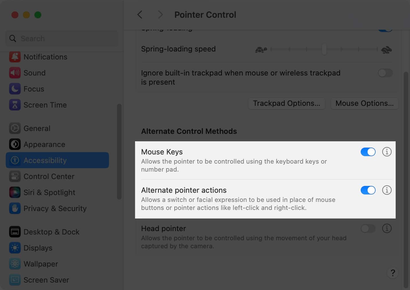 Enable Mouse Keys and Alternate pointer actions in Pointer Control under Accessibility Settings