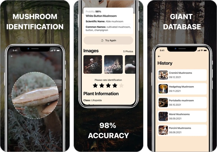 Mushroom Identification App