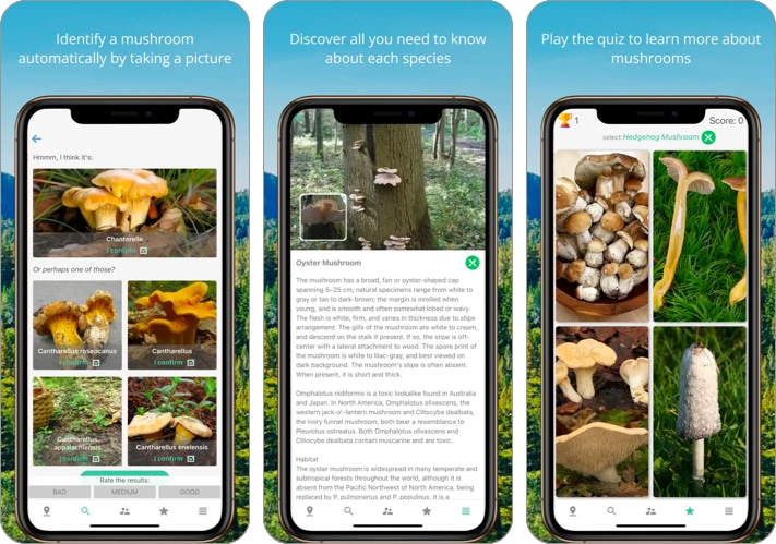 Mushroom Identificator App