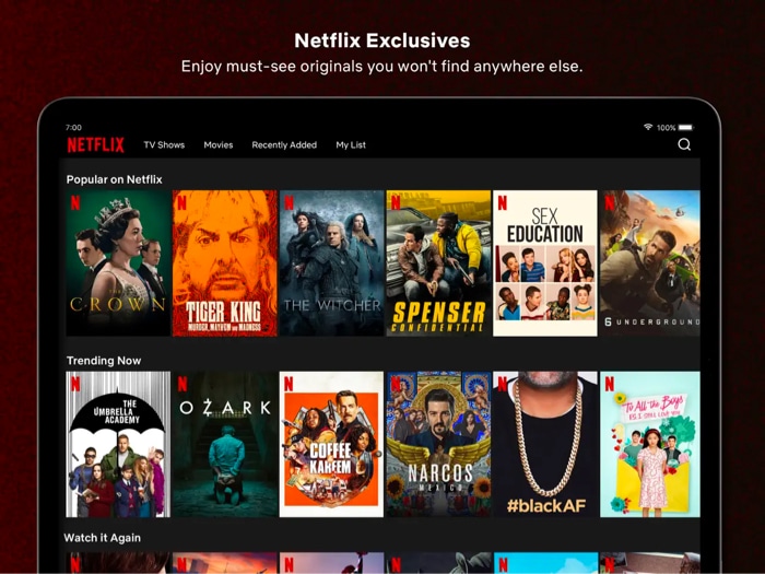 Netflix app to watch movies and videos on iPad