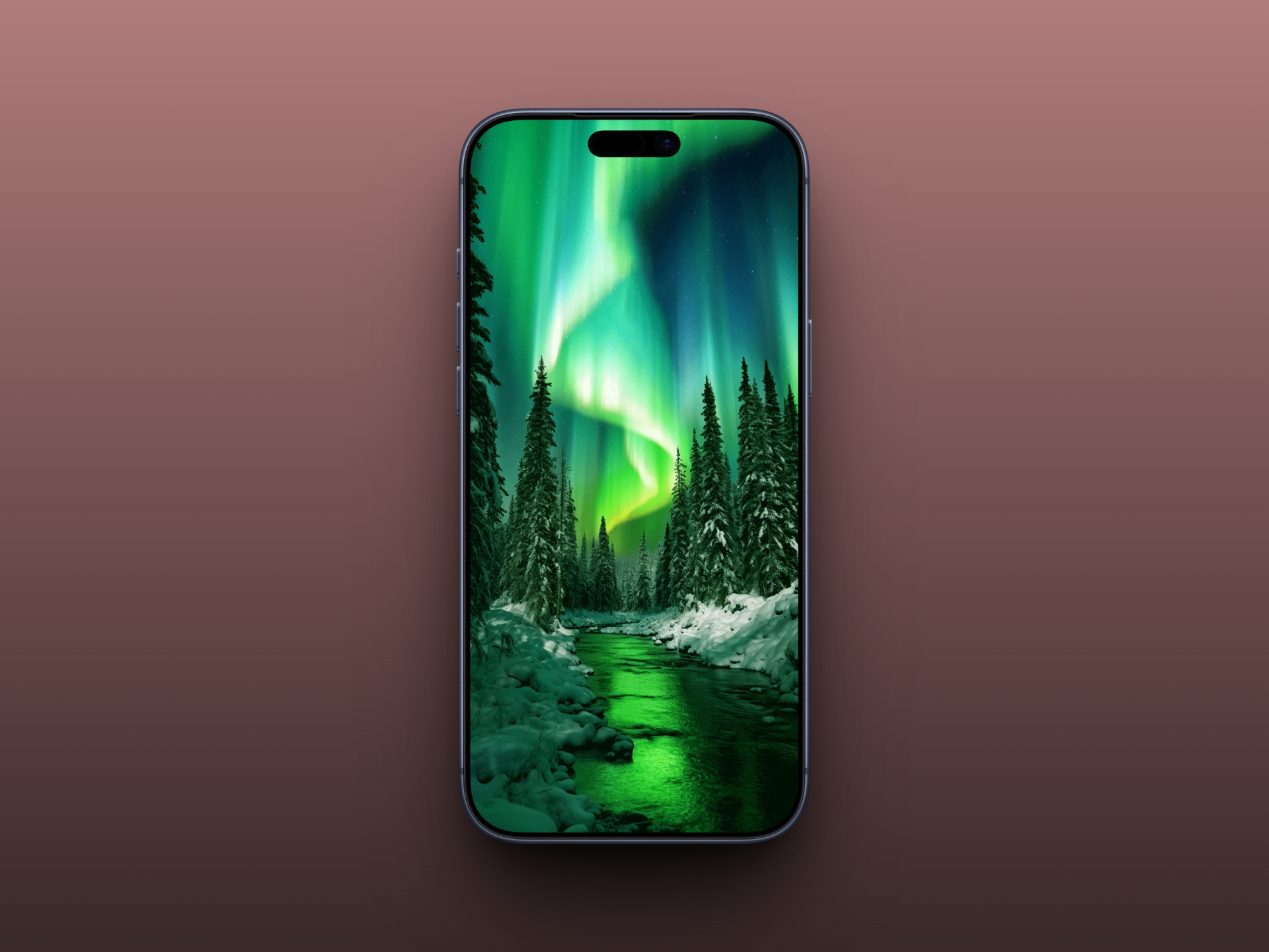 Northern Lights in Winter