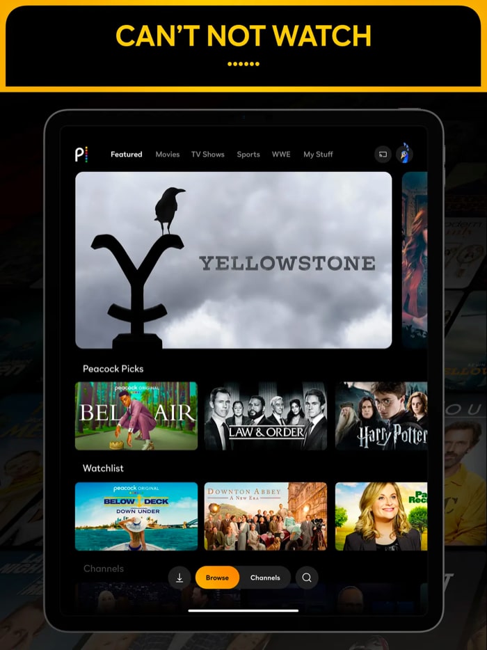 Peacock TV app to watch movies on ipad