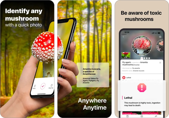 Picture Mushroom Fungi finder App