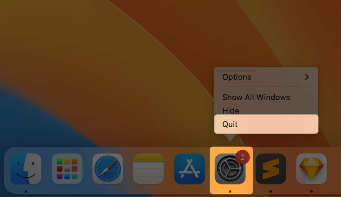 Select the app from dock and tap Quit