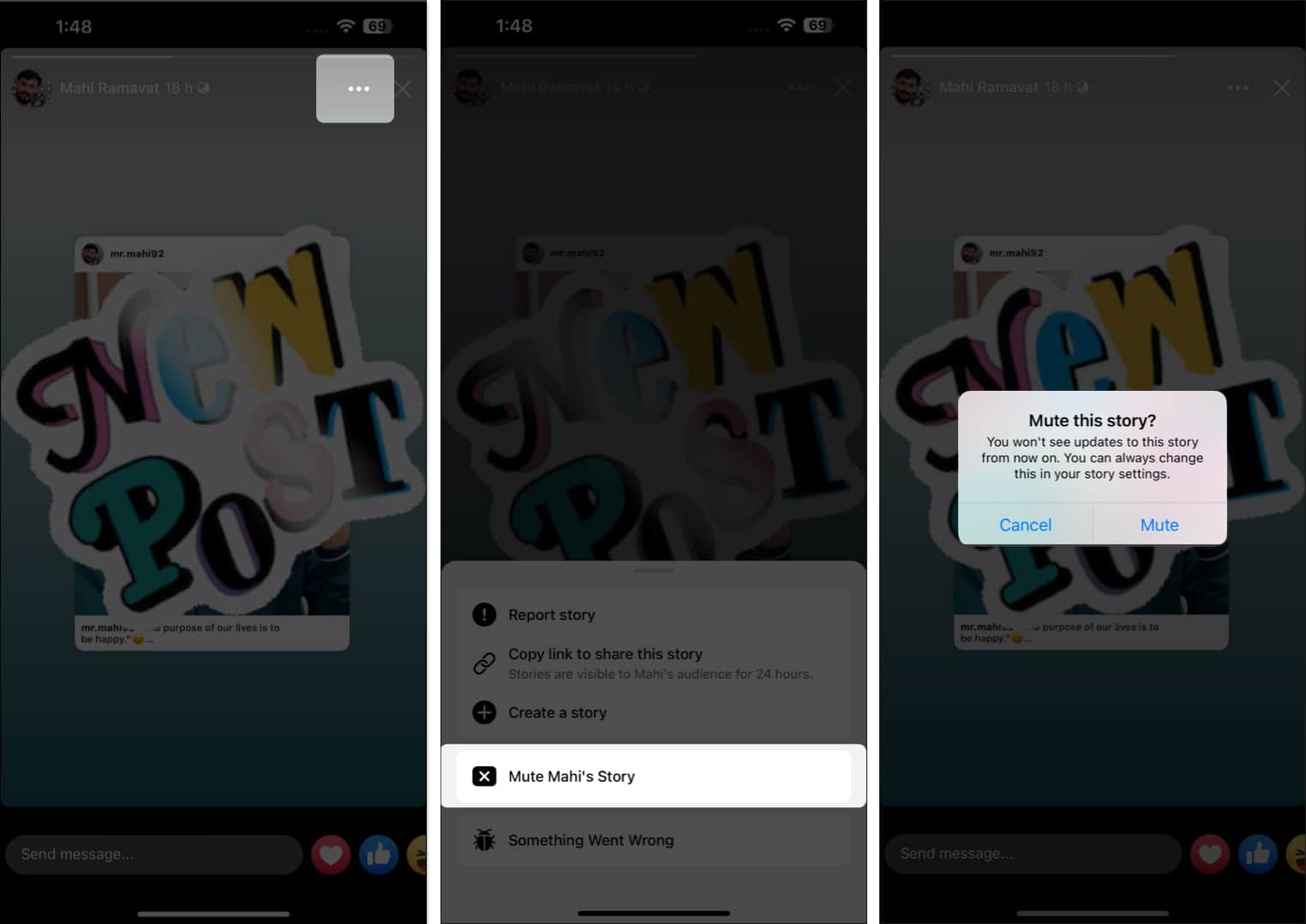 Select the three dot icon choose mute username story tap mute
