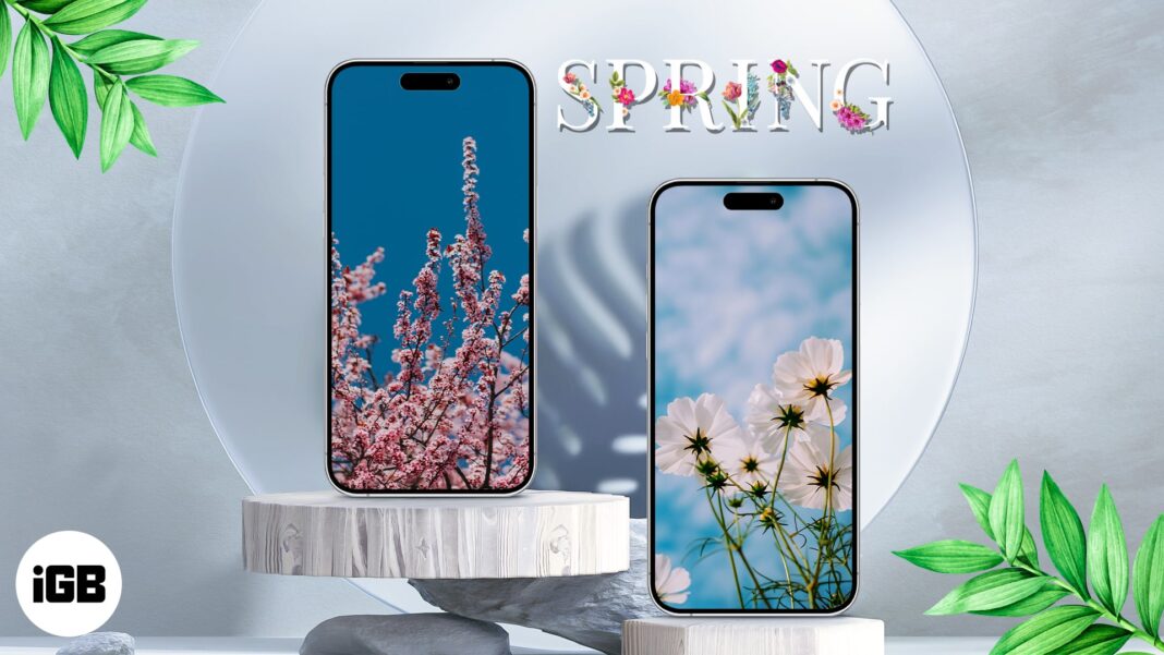 Stunning spring wallpapers for iPhone in 2024  Free download  - 32